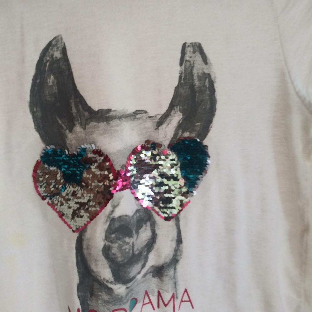 Distressed  My Favorite Tee My Drama Llama T Shirt Size 14/16